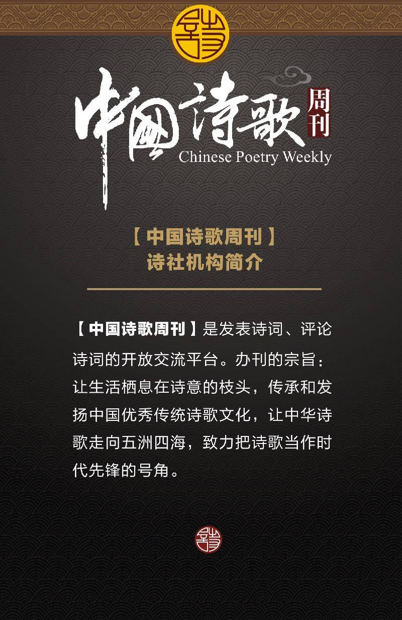 小巷深处的独特风味，新款佳作颂歌