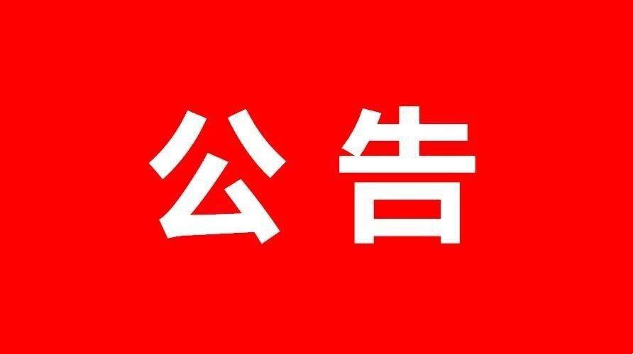 罗村最新招聘大揭秘，职位空缺一网打尽🏆✨
