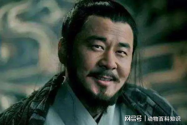 曹操，一代枭雄的传奇人生