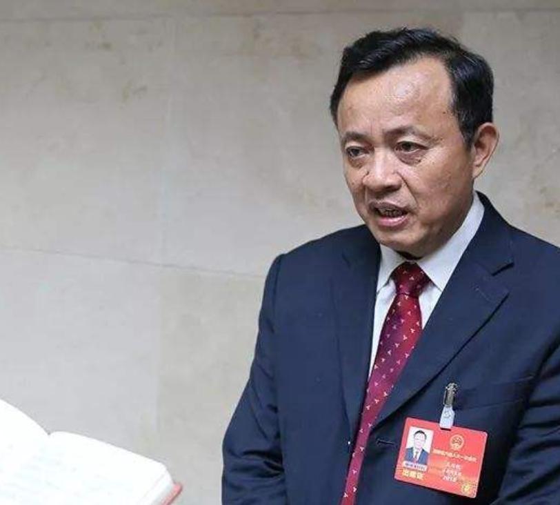 海南热带岛屿的崛起及其影响力解析