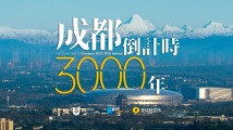 官道秘史最新，权力之路的透视与深度反思