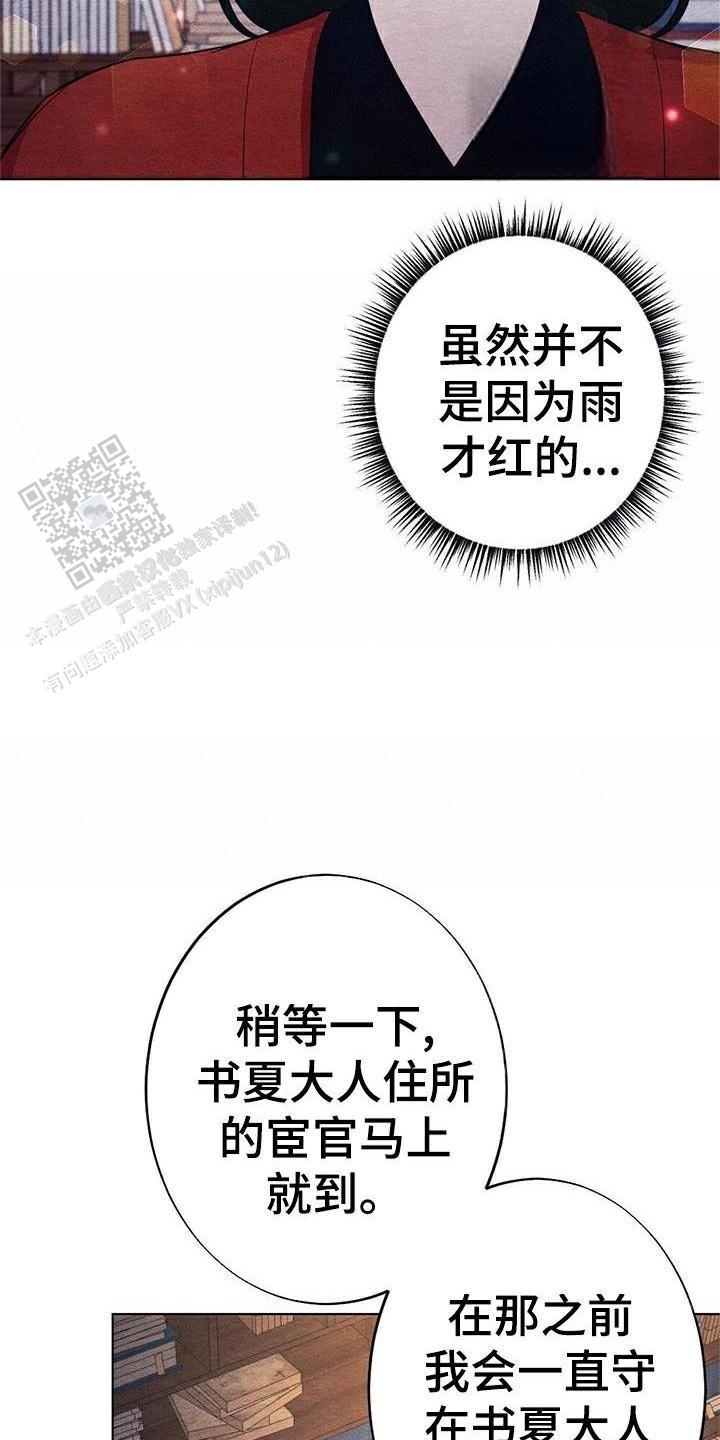 跨越时代的里程碑，最新章节揭秘与启示