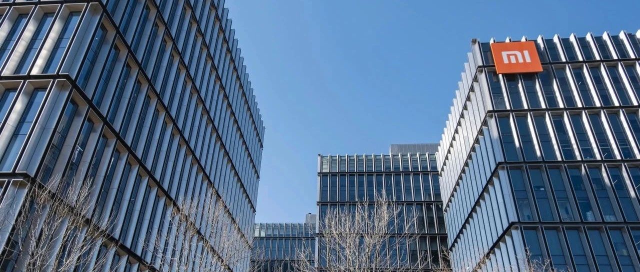 小米公司最新动态，小巷中的隐藏瑰宝，探索特色小店之旅