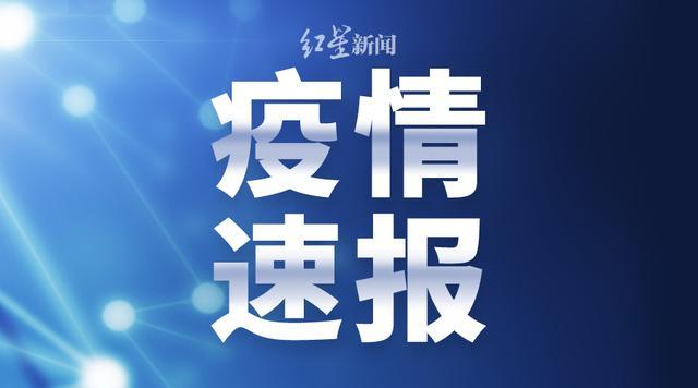 澳门最新病例详解，从初学者到进阶用户的步骤指南