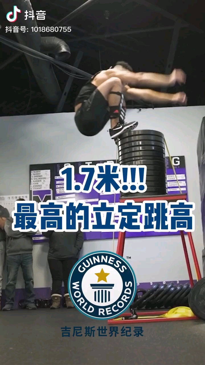 最新跳高纪录，跃向成功的力量与荣耀时刻
