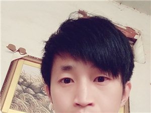 孙先生最新动态，引领探索前沿领域的步伐不停歇