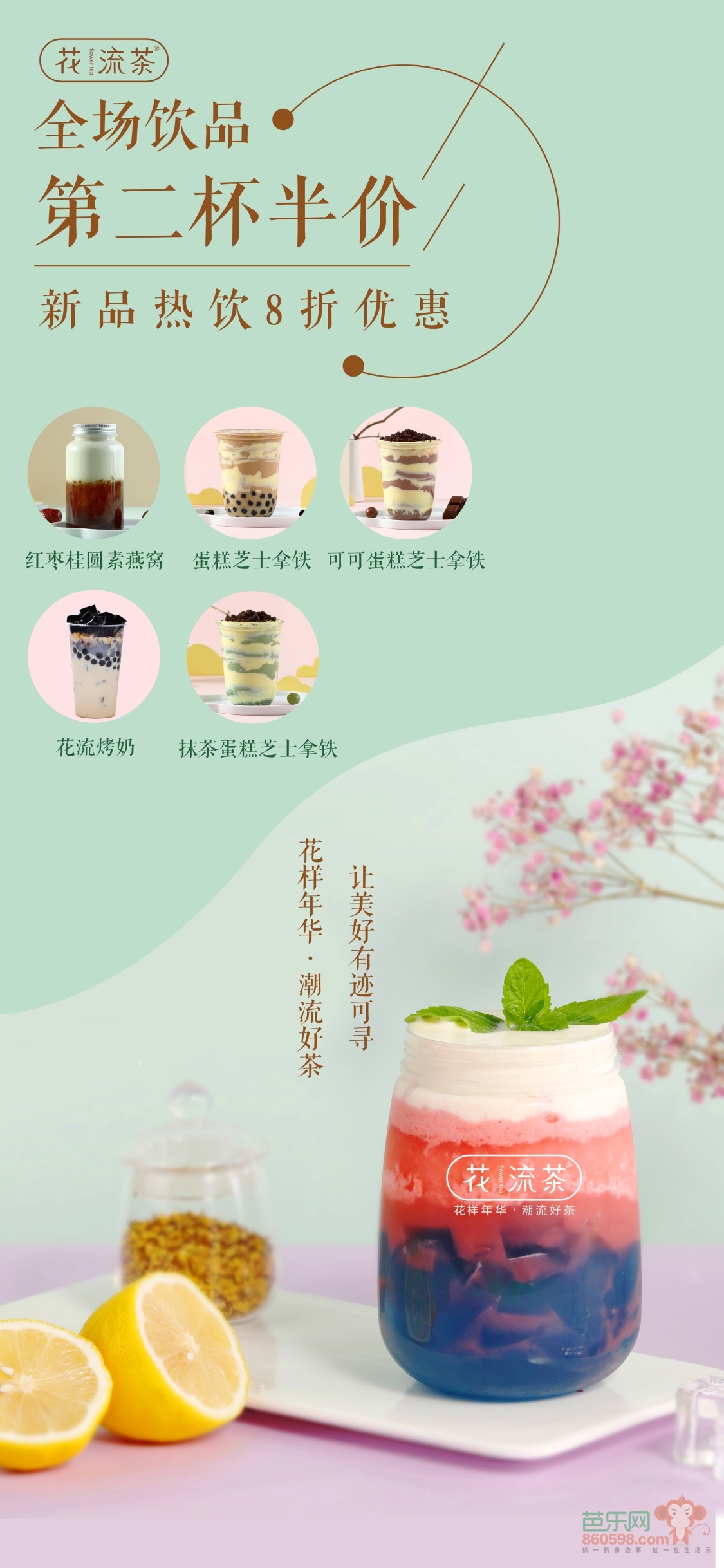 最新流行茶，文化现象的深度探讨