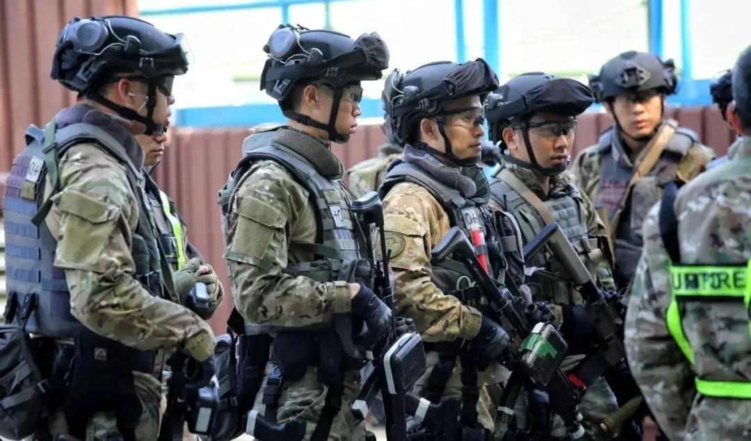 香港TVB最新电视剧，自然美景的治愈之旅探索热播剧集
