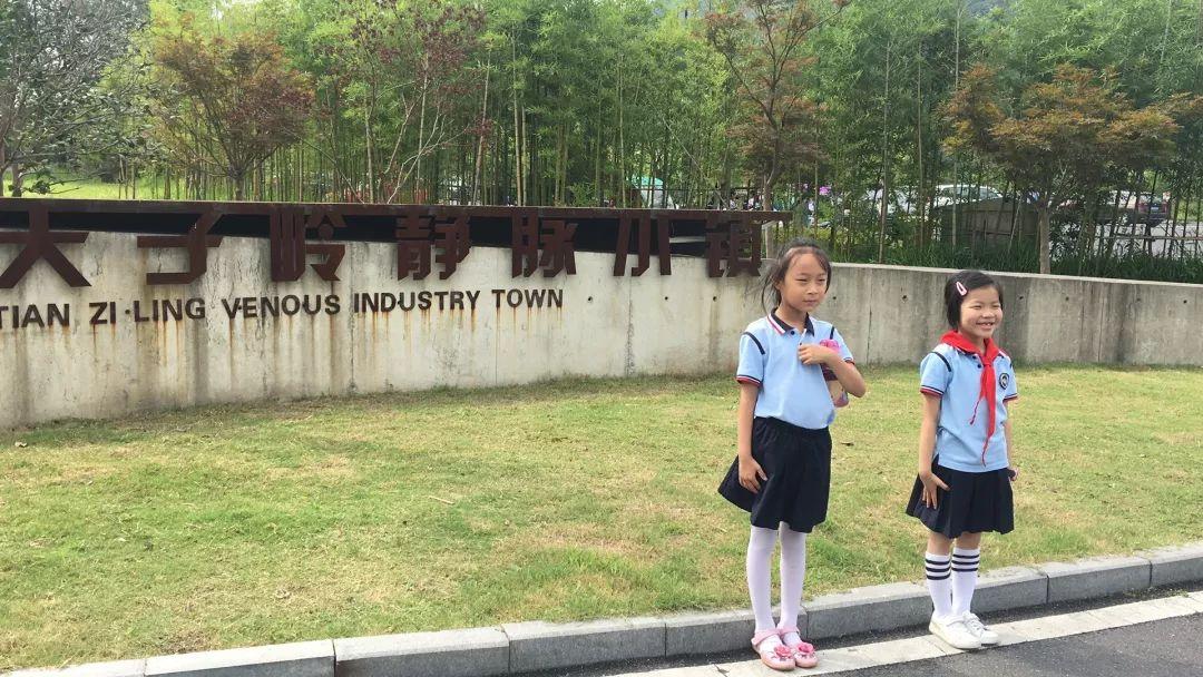 杭州天子岭，自然美景探险之旅，探寻内心平和宁静的胜地最新消息